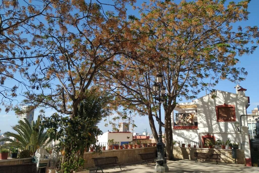 San Antonio Villa Alicante Kültér fotó